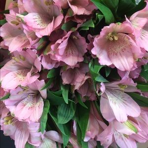 Meet your Posher, Teresa